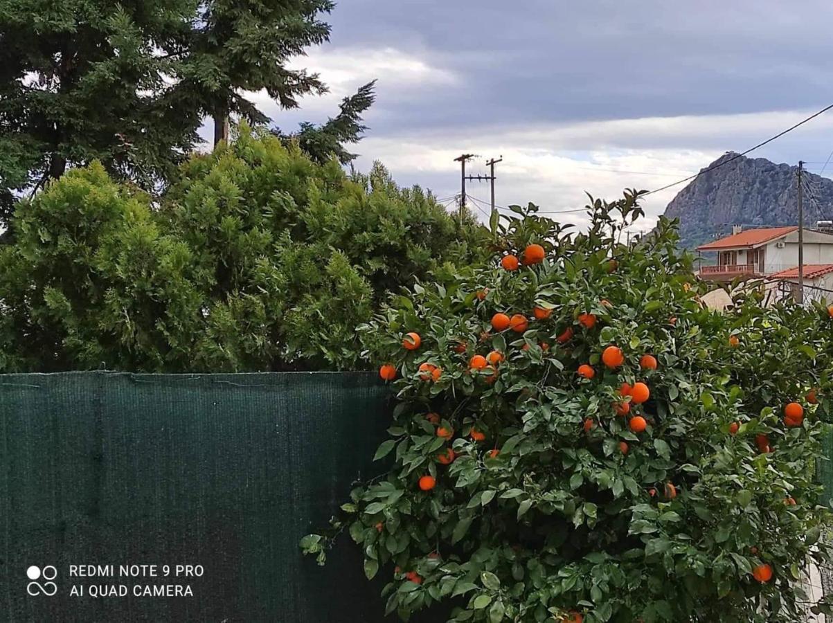 Nafplio Breeze Άνετη Διώροφη Κατοικία Από 4 Έως 9 Επισκέπτες Extérieur photo